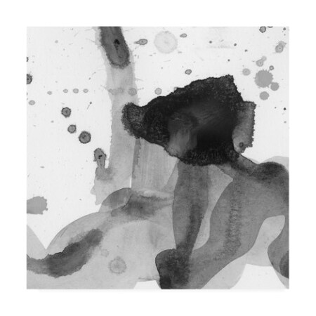 Trademark Fine Art Sharon Chandler 'Entranced VI' Canvas Art, 24x24 WAG14406-C2424GG
